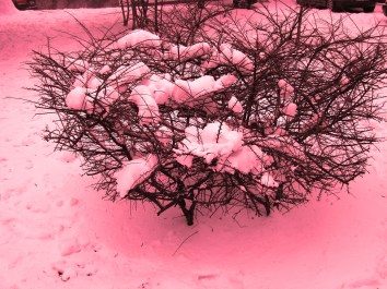 2272850950_c3f8386999_o